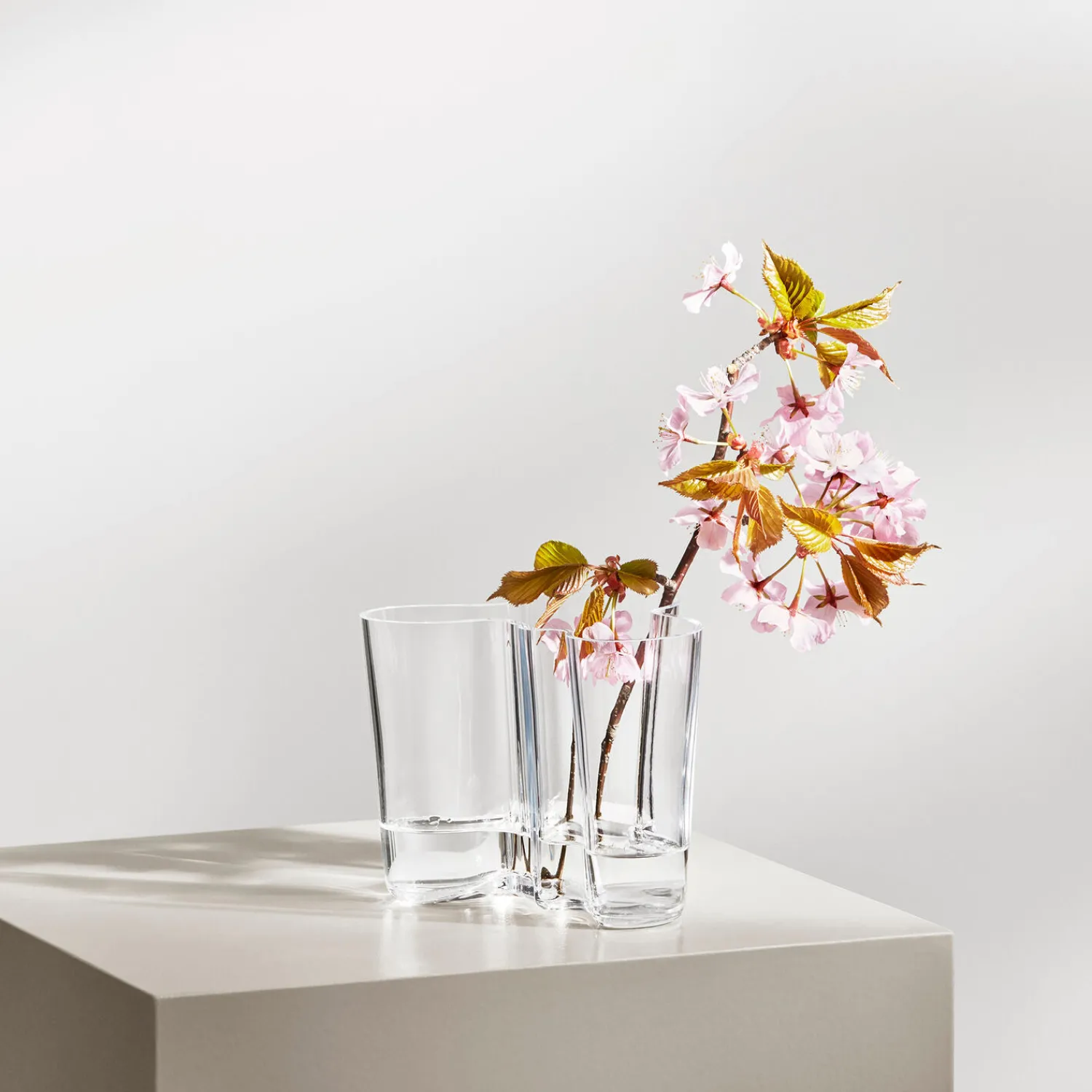 Iittala Vaser * Alvar Aalto vase 16 cm,