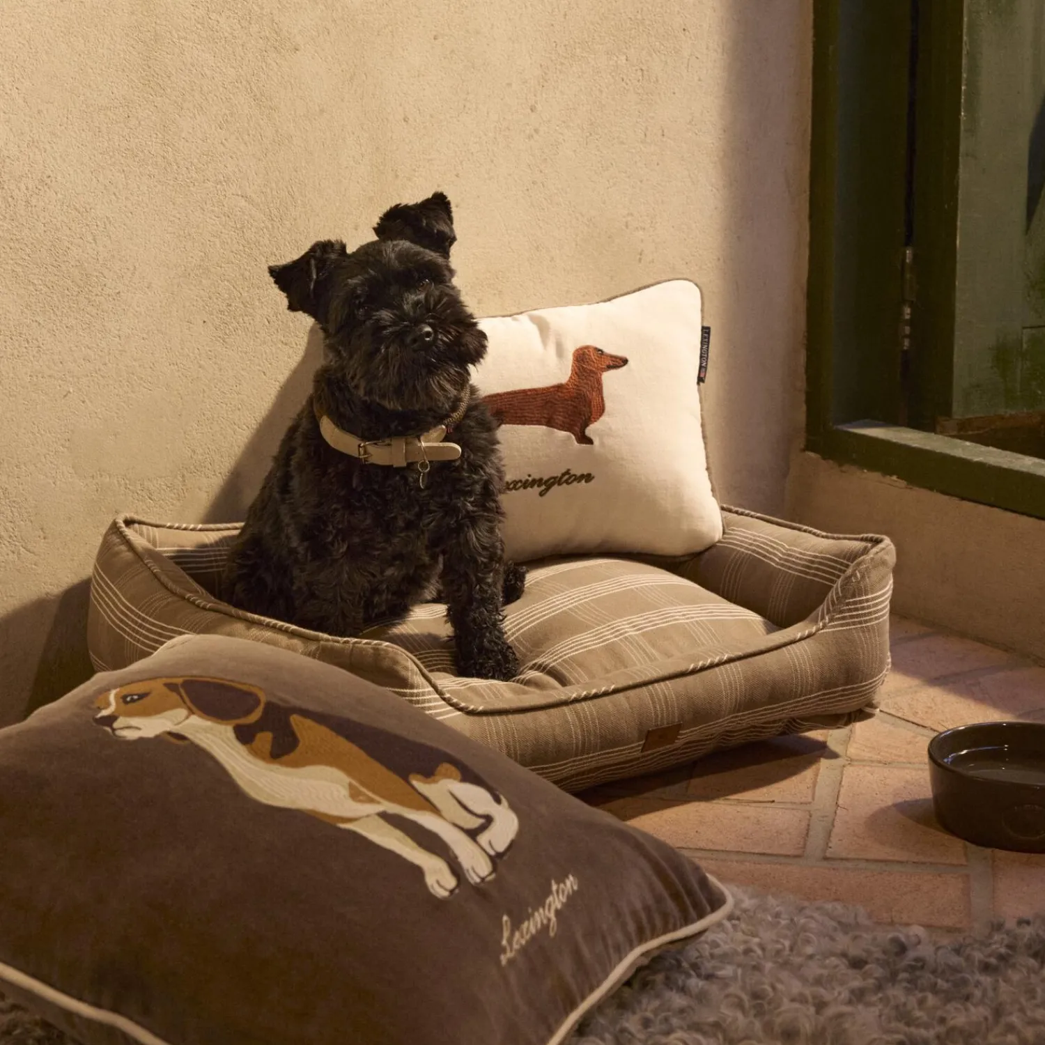 Lexington Pyntepuder & Hynder-Dog Pillow, lt beige multi