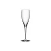 Orrefors Glas * More champagneglas 4 stk.