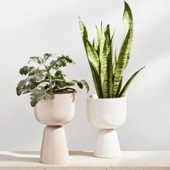 Iittala Botanik * Nappula urtepotte small, hvid