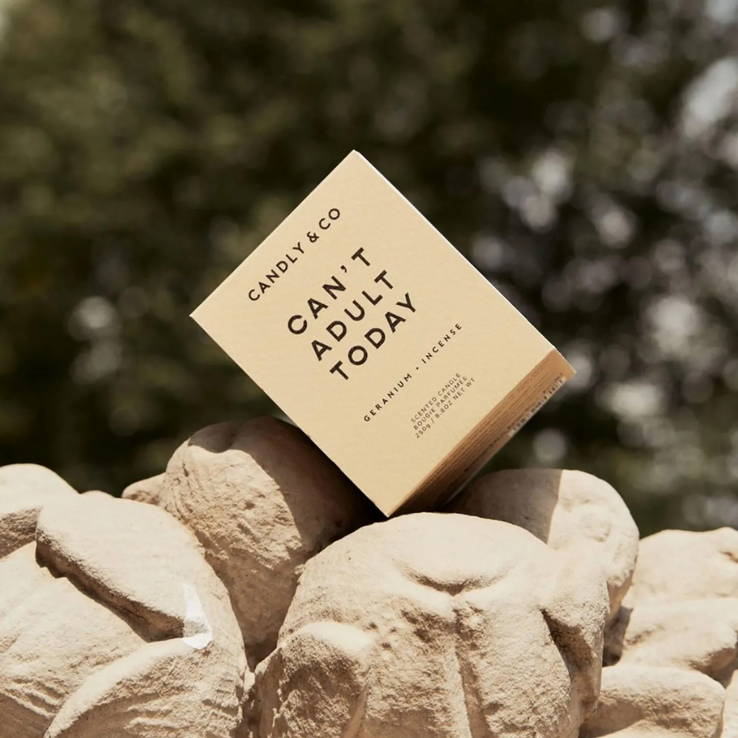 Candly & Co Lys & Duftlys-No. 1 Candle, Can't adult today