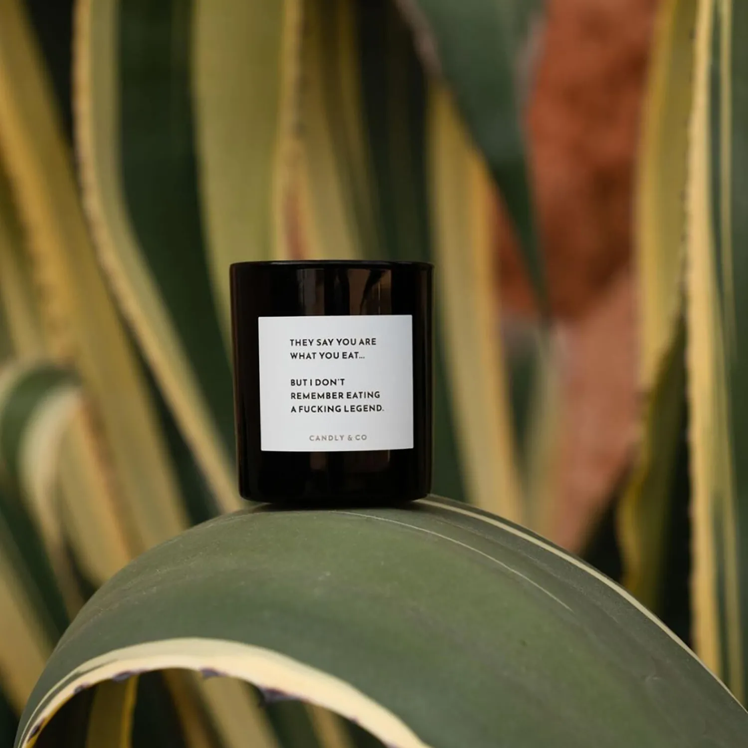 Candly & Co Lys & Duftlys-No. 1 Candle, They say you are what you eat