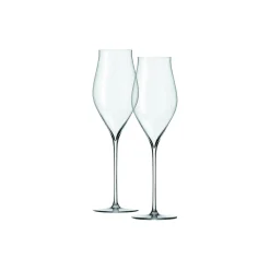 Holmegaard Glas * Notes Champagneglas 2 stk.