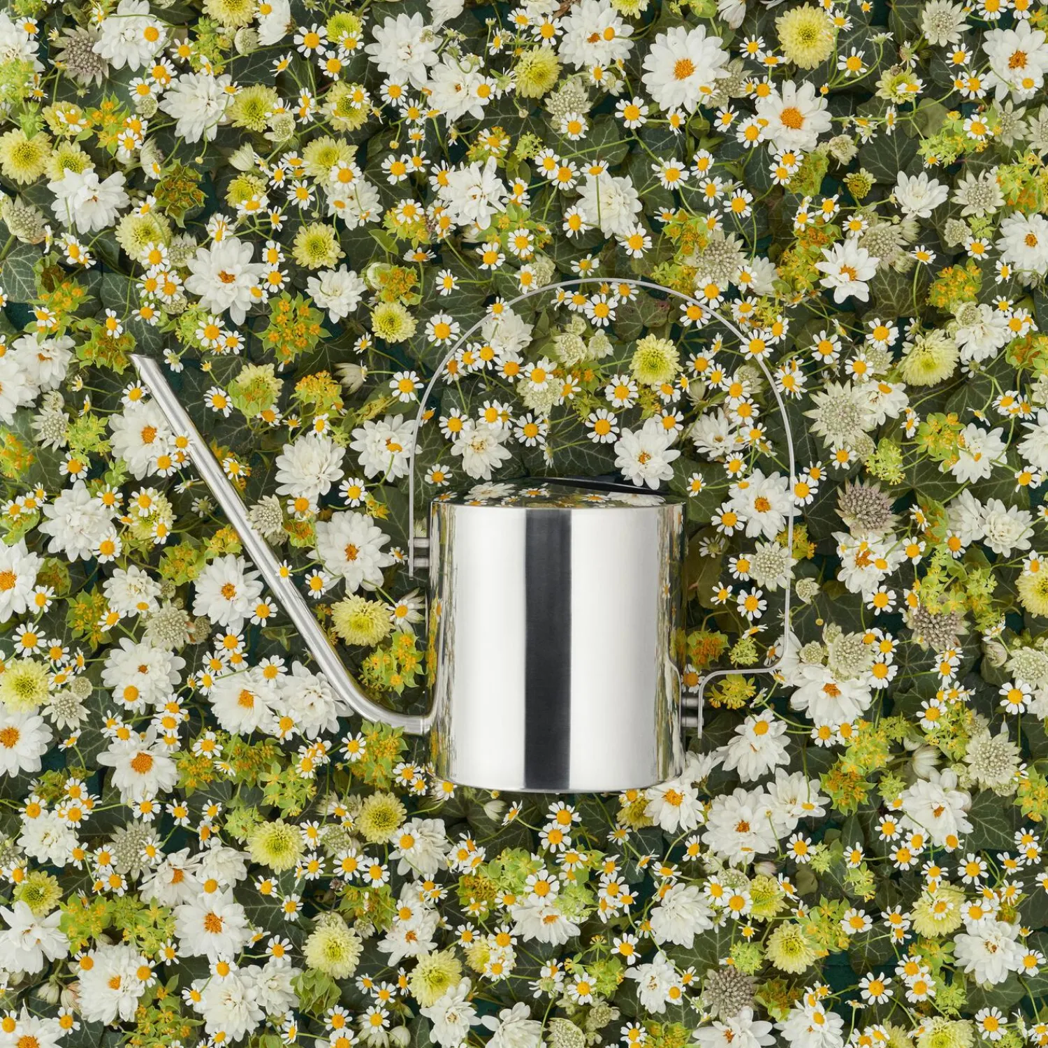 Stelton Botanik * Original blomstervandkande