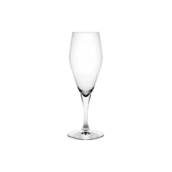 Holmegaard Glas * Perfection champagneglas