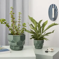 Dottir Nordic Design Botanik * Samsurium blomsterkrukke, spruce