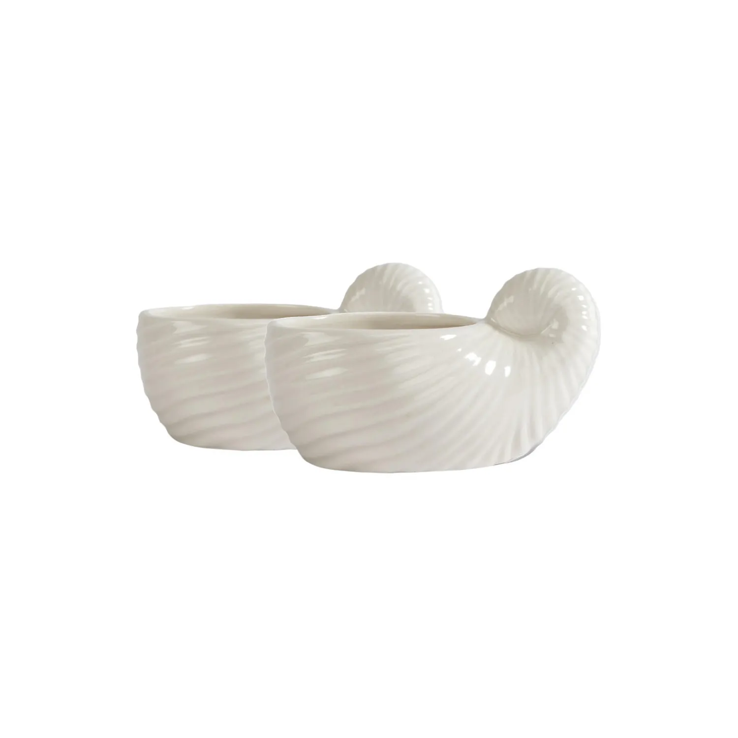 Byon Kopper & Krus-ShelleyCup 2 pcs
